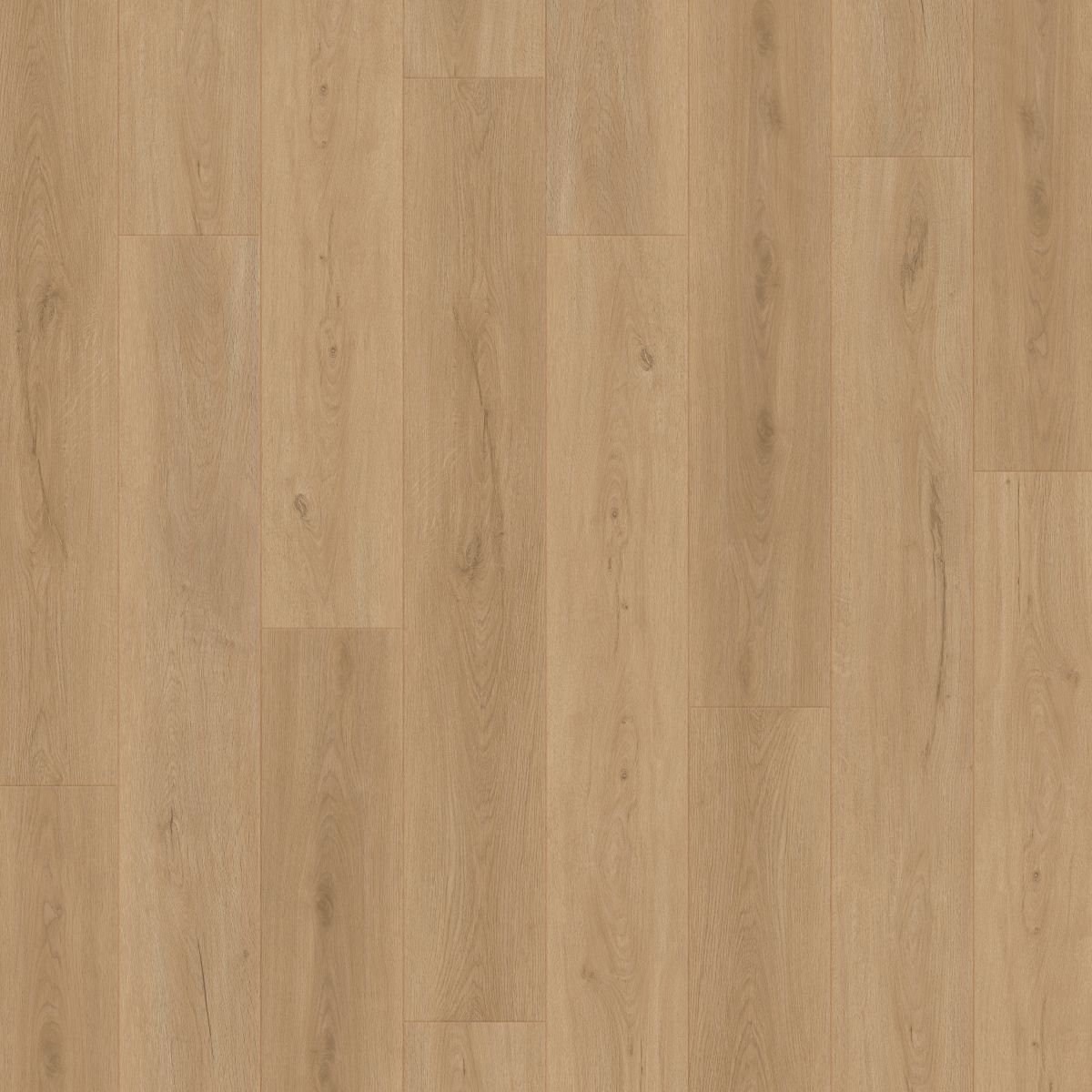 doha oak 